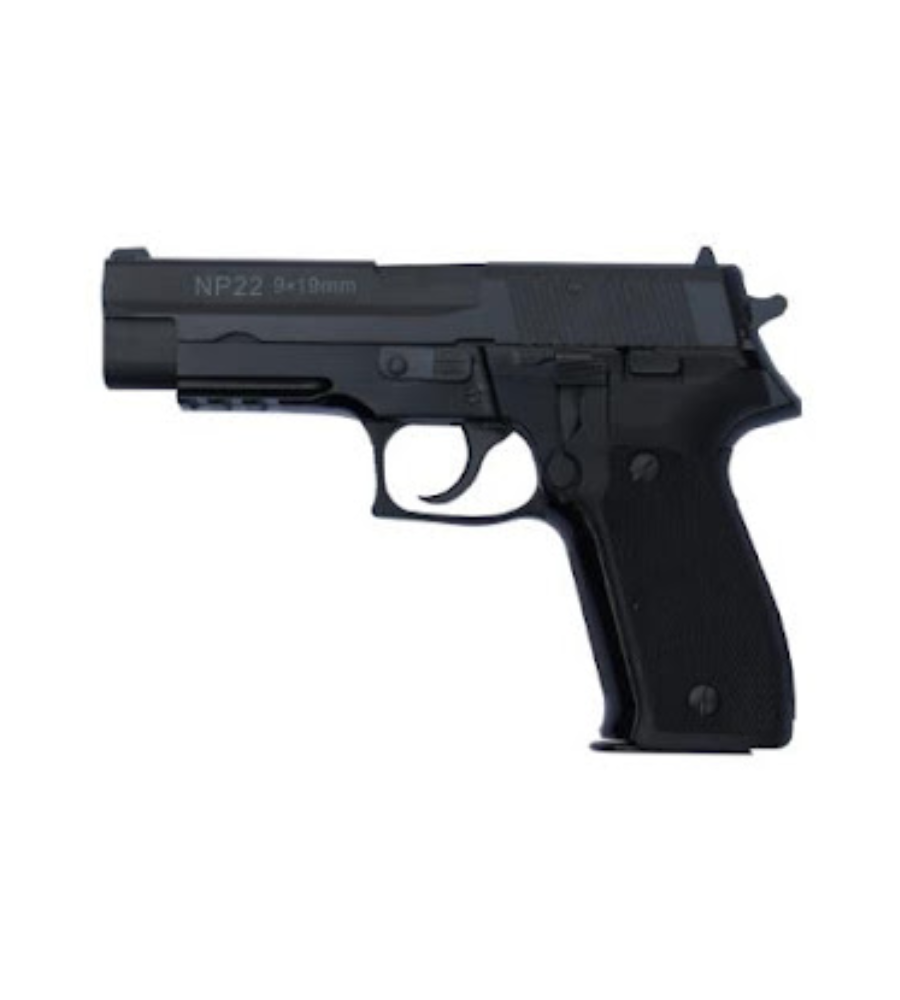 pistol type np22